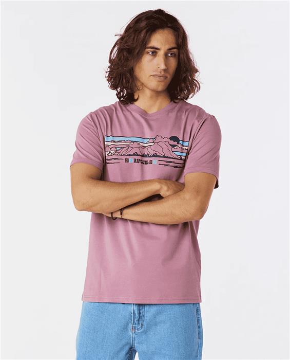 teeshirt-ripcurl-down-the-line-stripe-s-s-tee-mauve-m